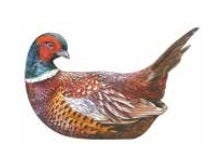Pheasant Gravy Boat & Ladle
