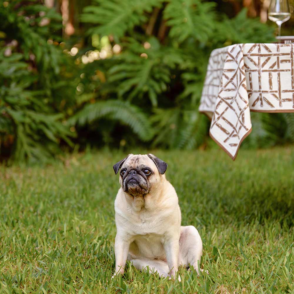 Brown Bamboo Tablecloth 60x120