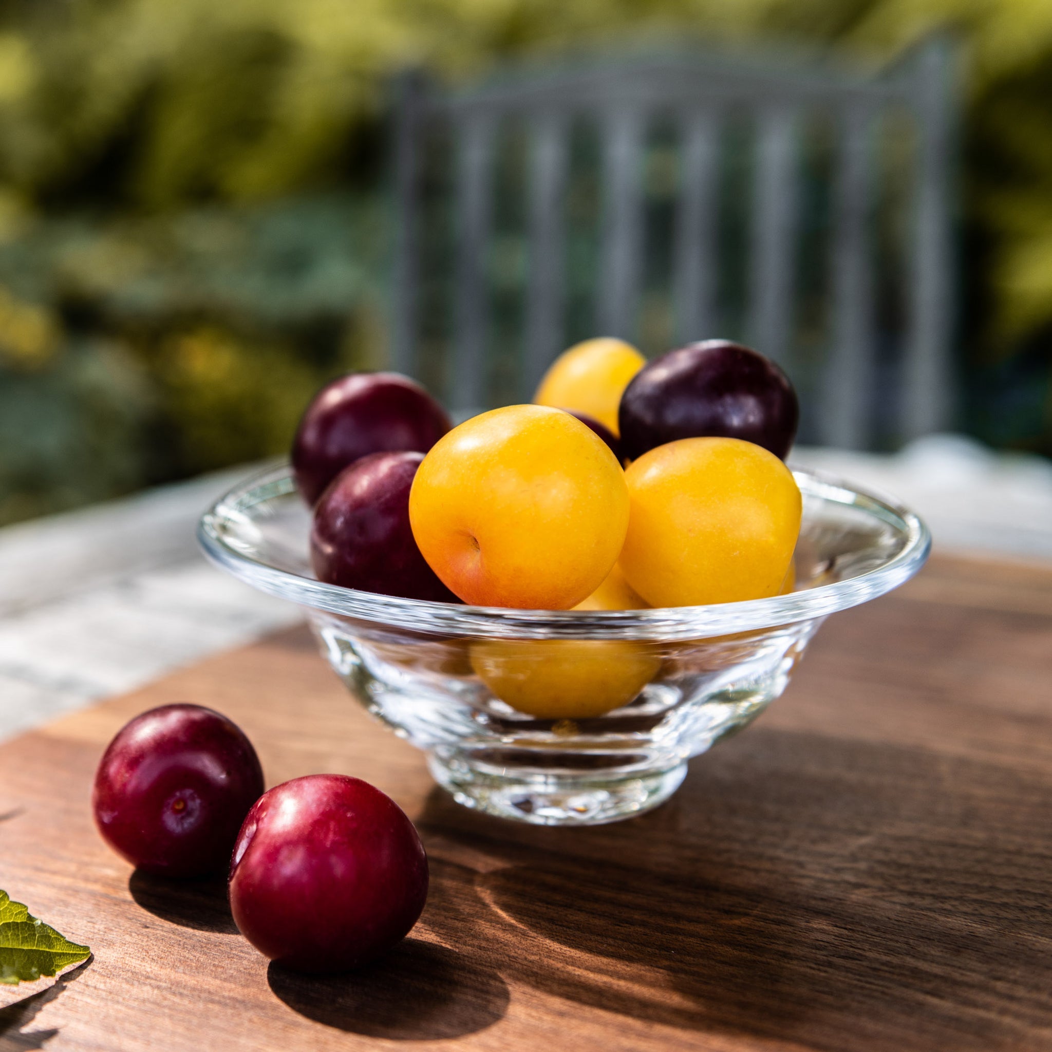 Shelburne Bowl - Medium