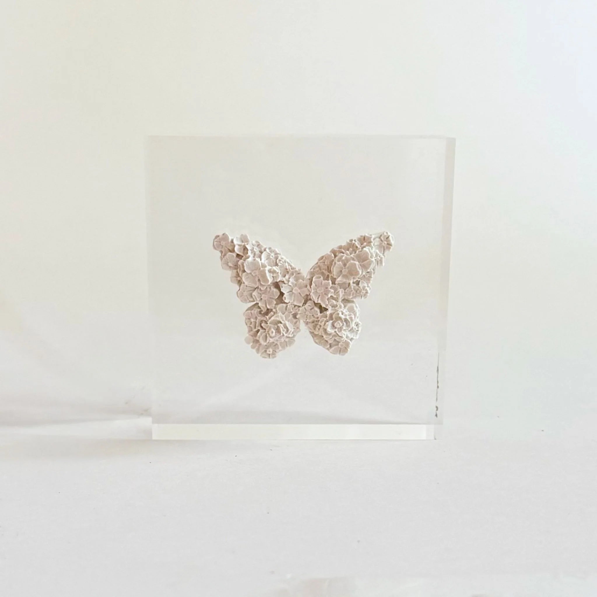 Butterfly Intaglio Acrylic Block