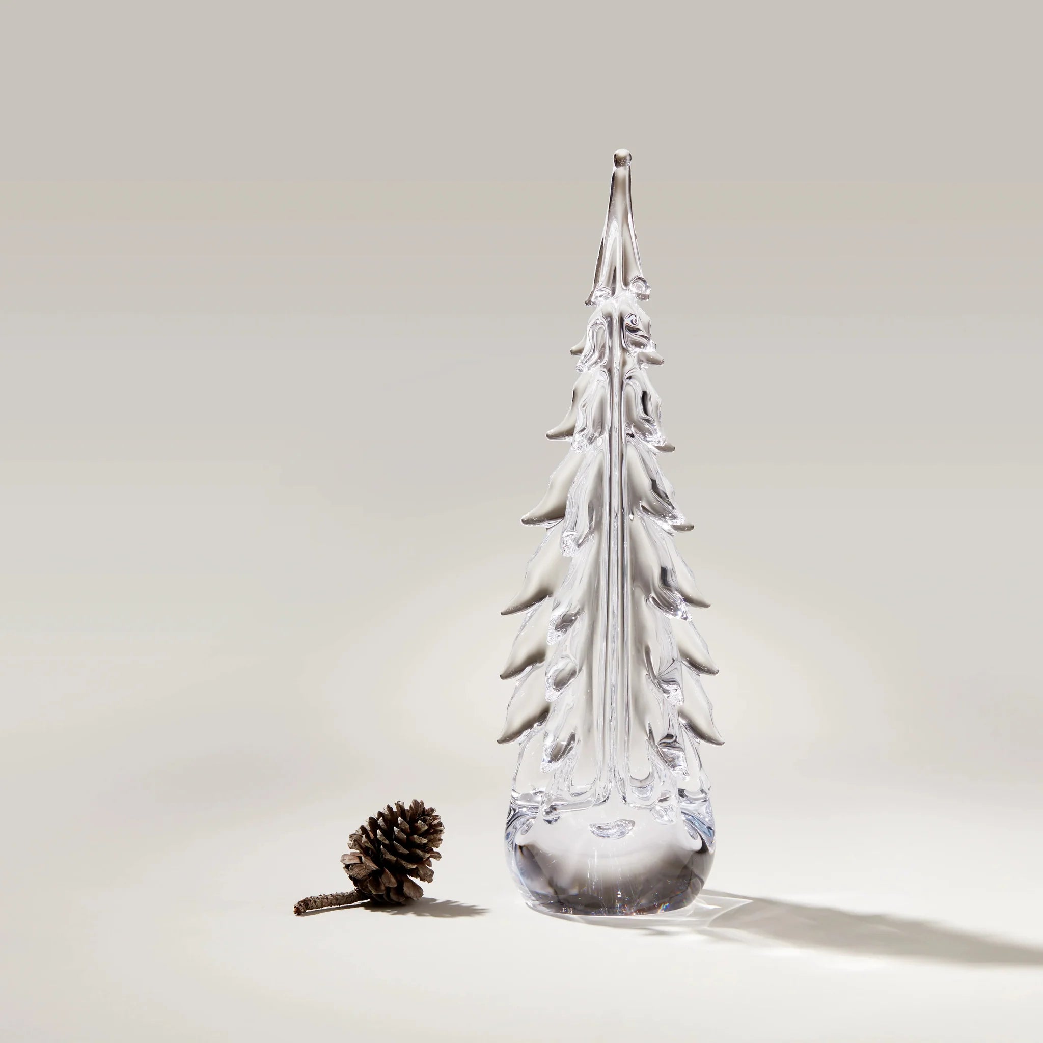 Five Sided Evergreen in Gift Box - 18 in