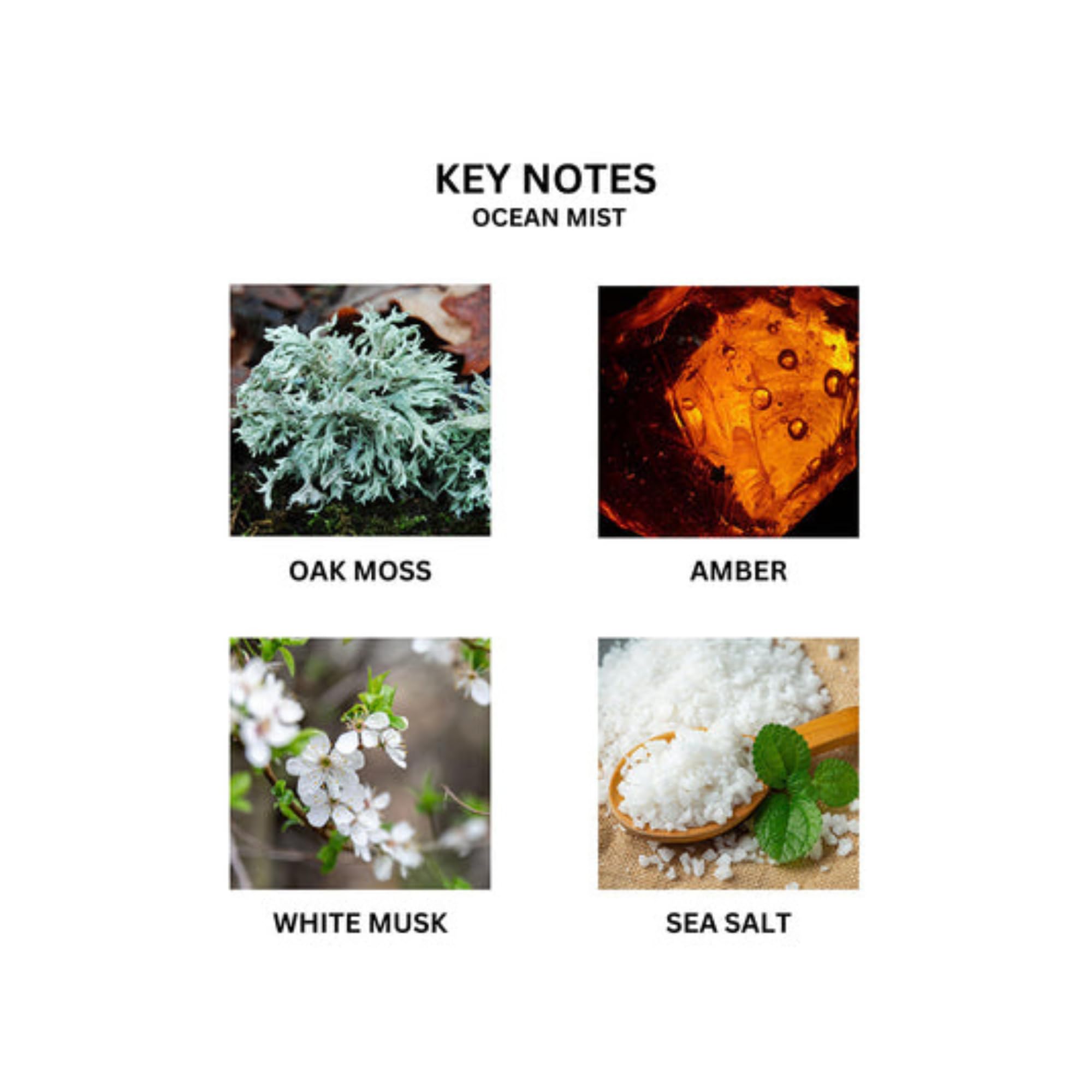 Ocean Mist & Sea Salt Reed Diffuser