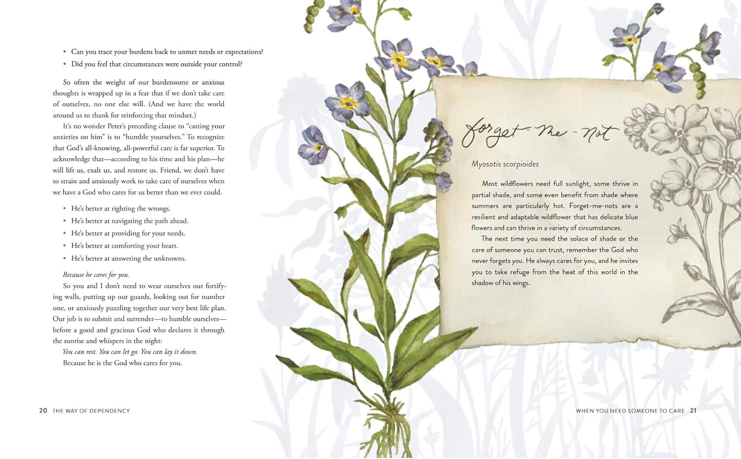 Way of the Wildflower