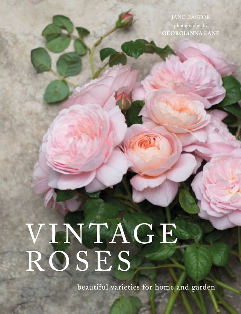 Vintage Roses