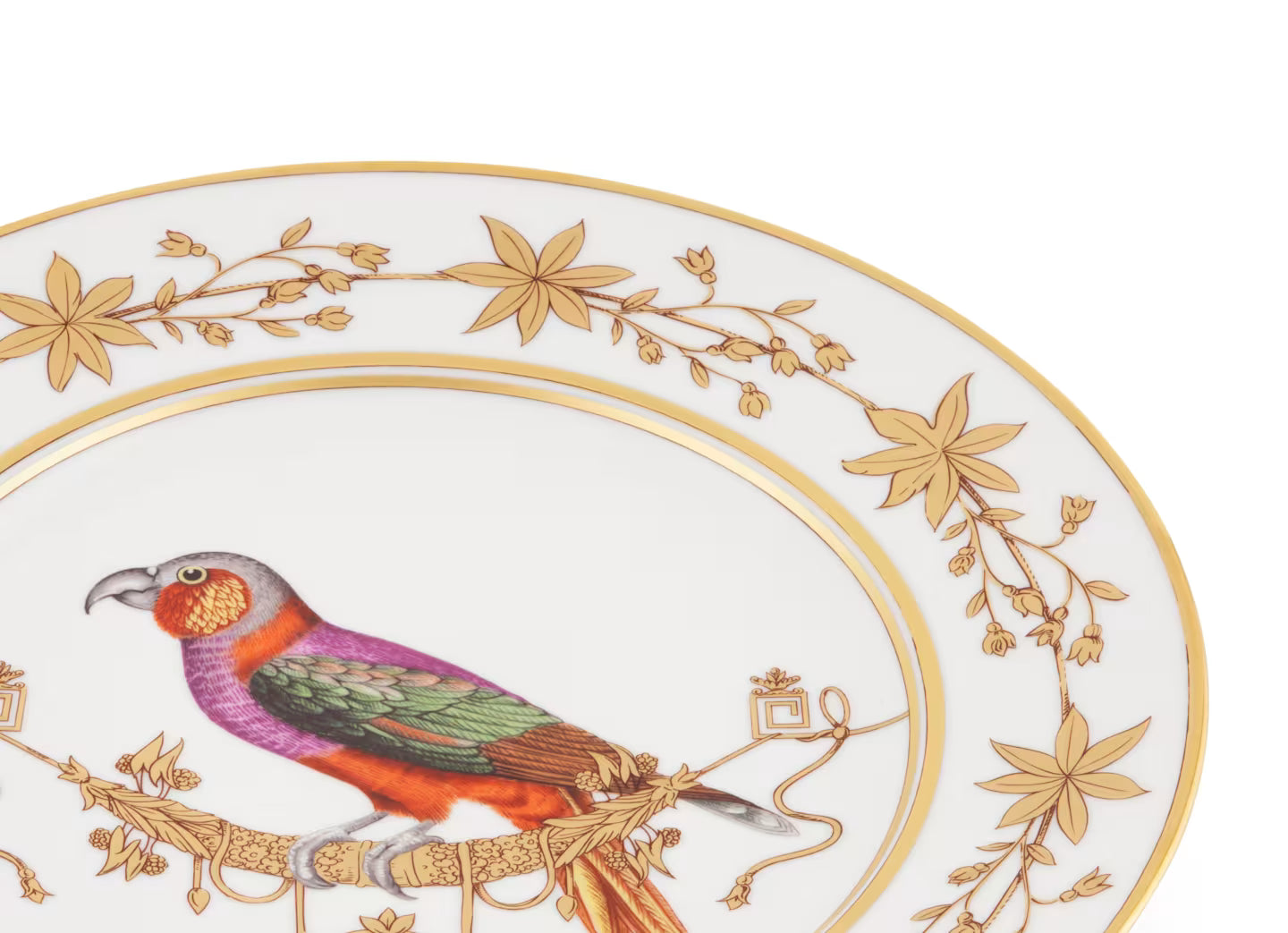 Volière Perroquet Nestor Bread & Butter