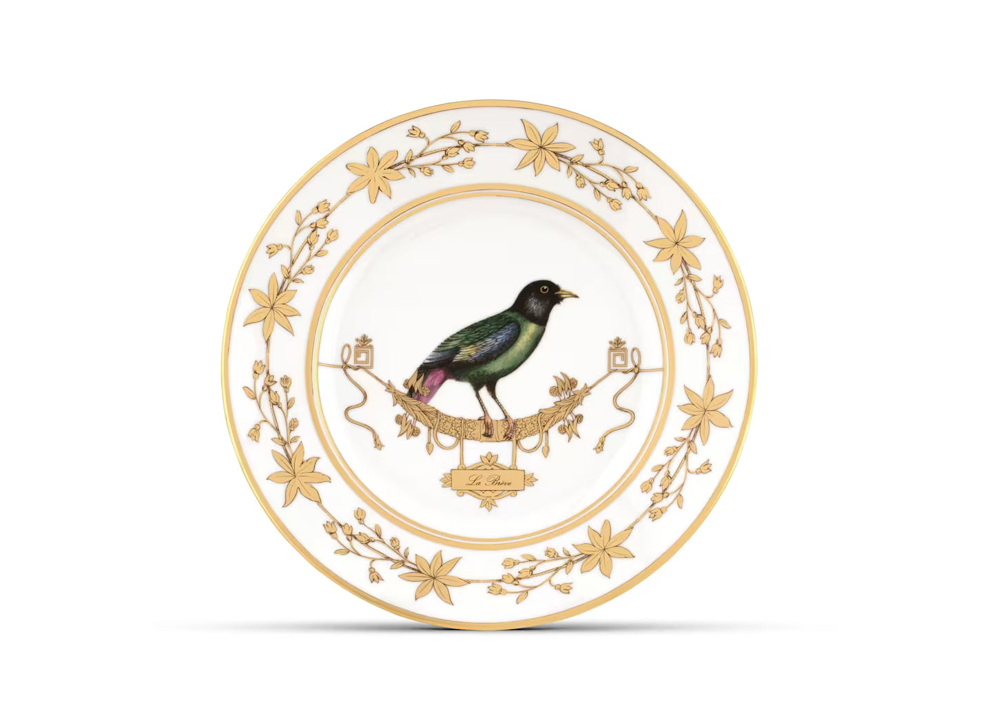 Volière La Bre'Ve Dinner Plate