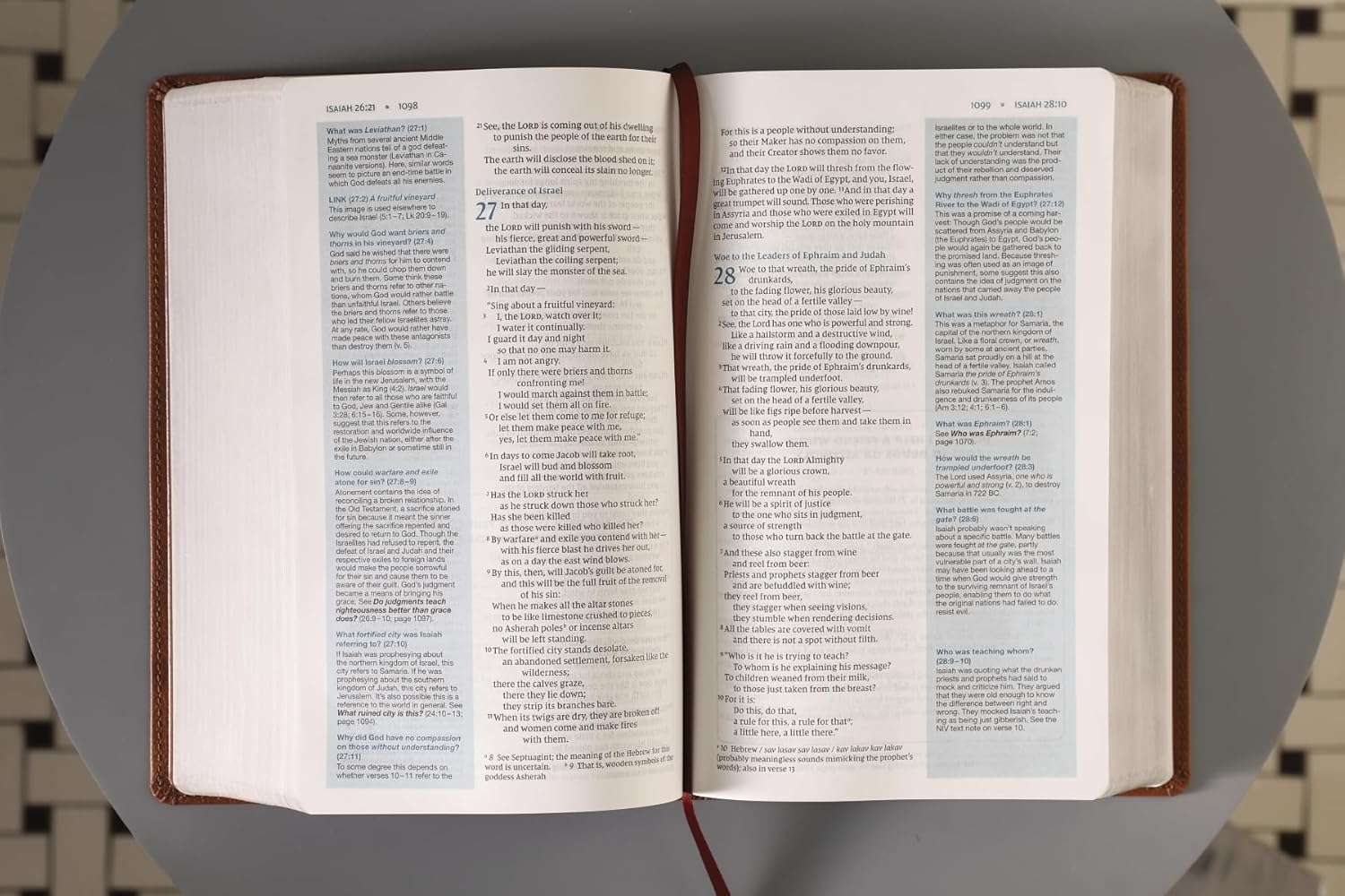 NIV, Quest Study Bible for Teens, Leathersoft, Brown