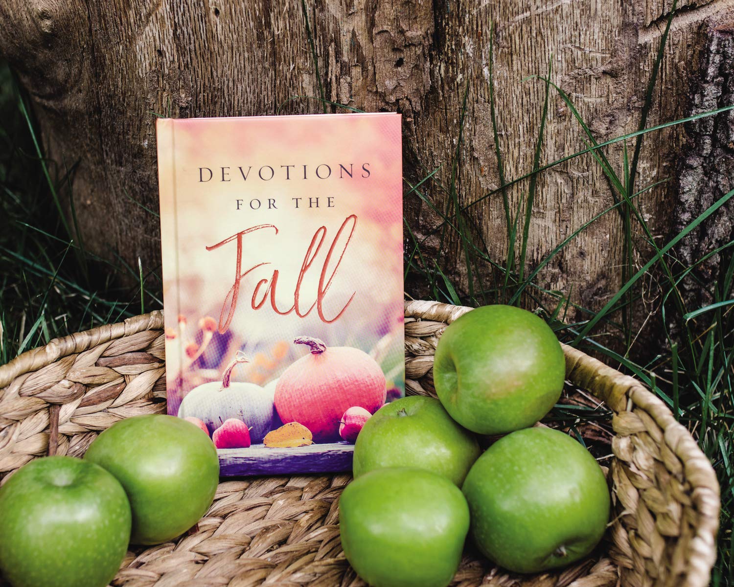 Devotions for the Fall