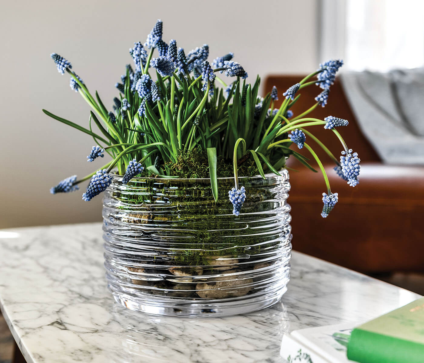 Echo Lake Bowl- Medium