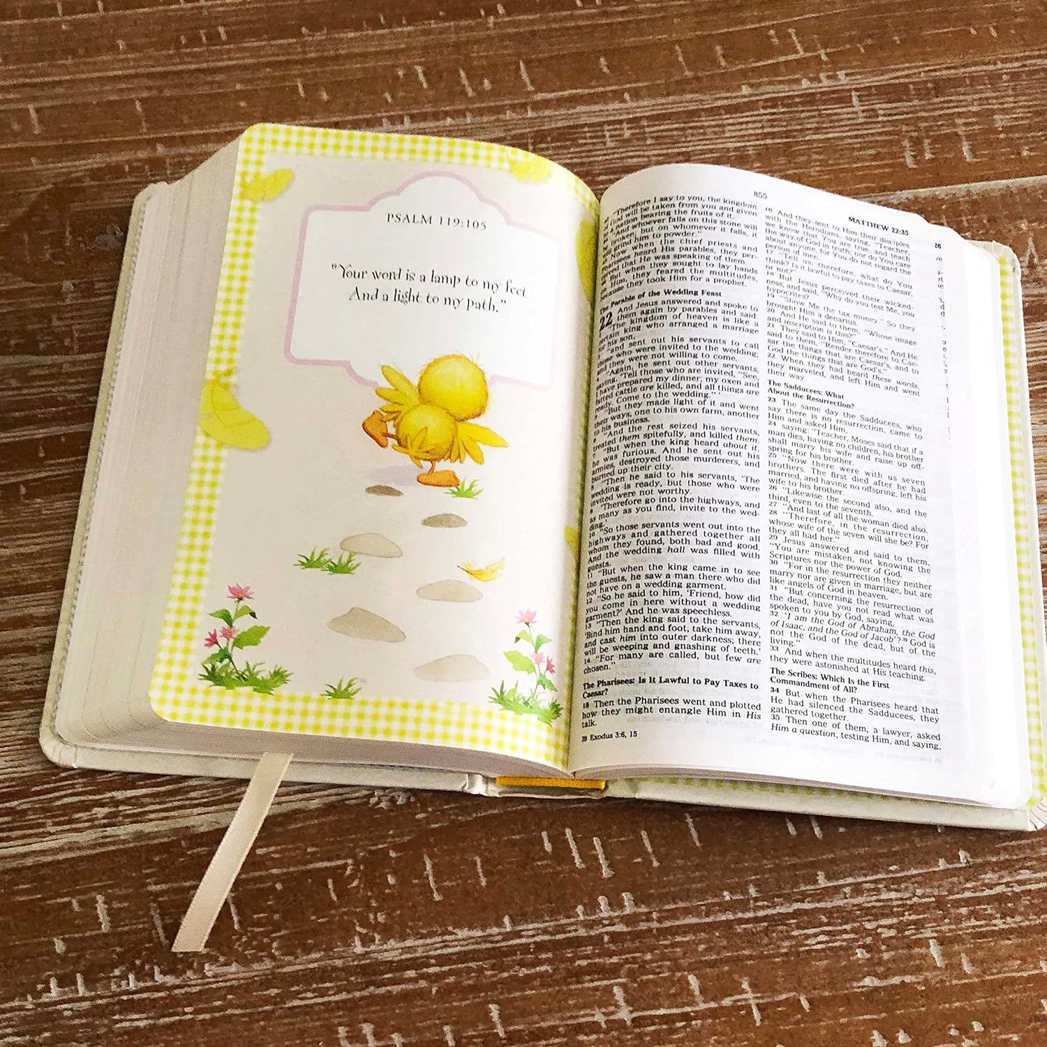 Baby's First Bible - White Hardcover
