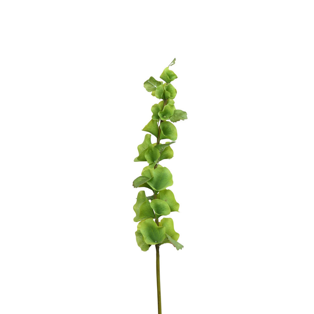 Bells of Ireland Stem - 29"