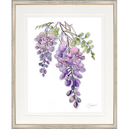 CL-Botanical 12 (Wisteria)