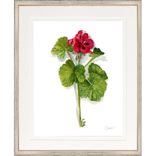 CL-Botanical 6 (Geranium)
