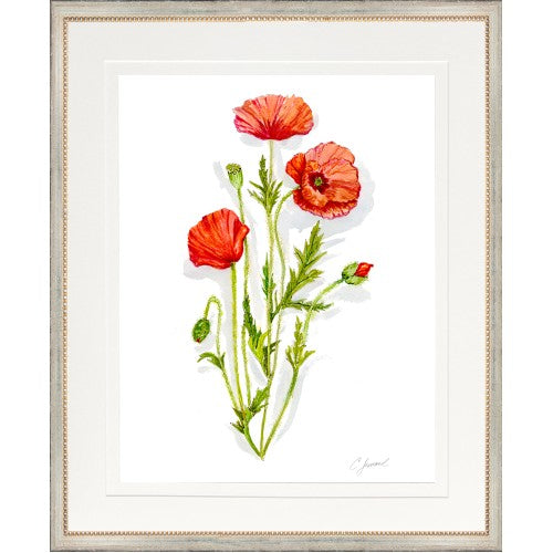 CL-Botanical 7 (Poppy)