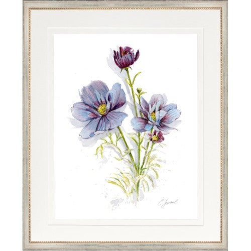 CL-Botanical 9 (Cosmos Spray)
