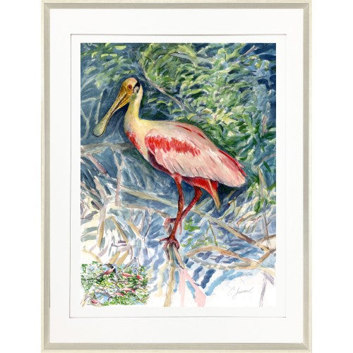 CL-Spoonbill 1