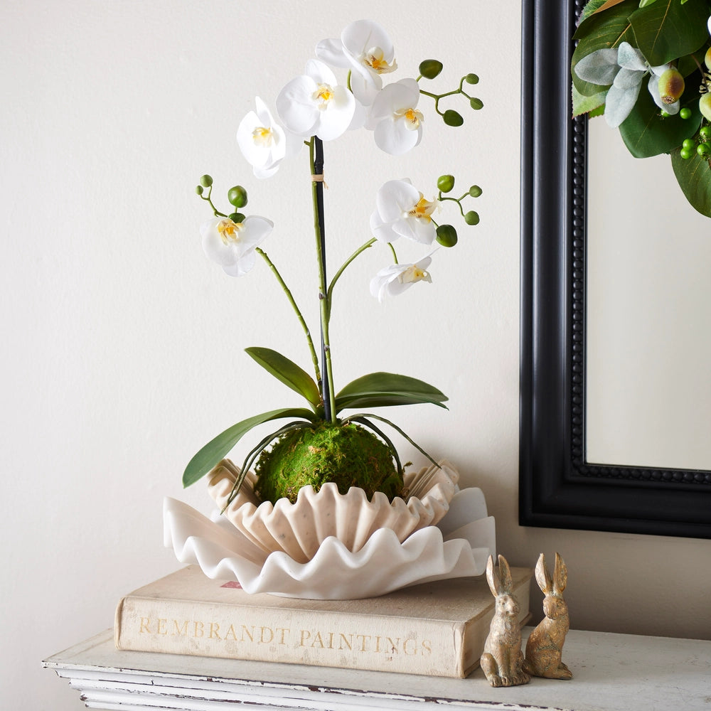 Real Touch White Orchid with Moss Ball - 23.75"