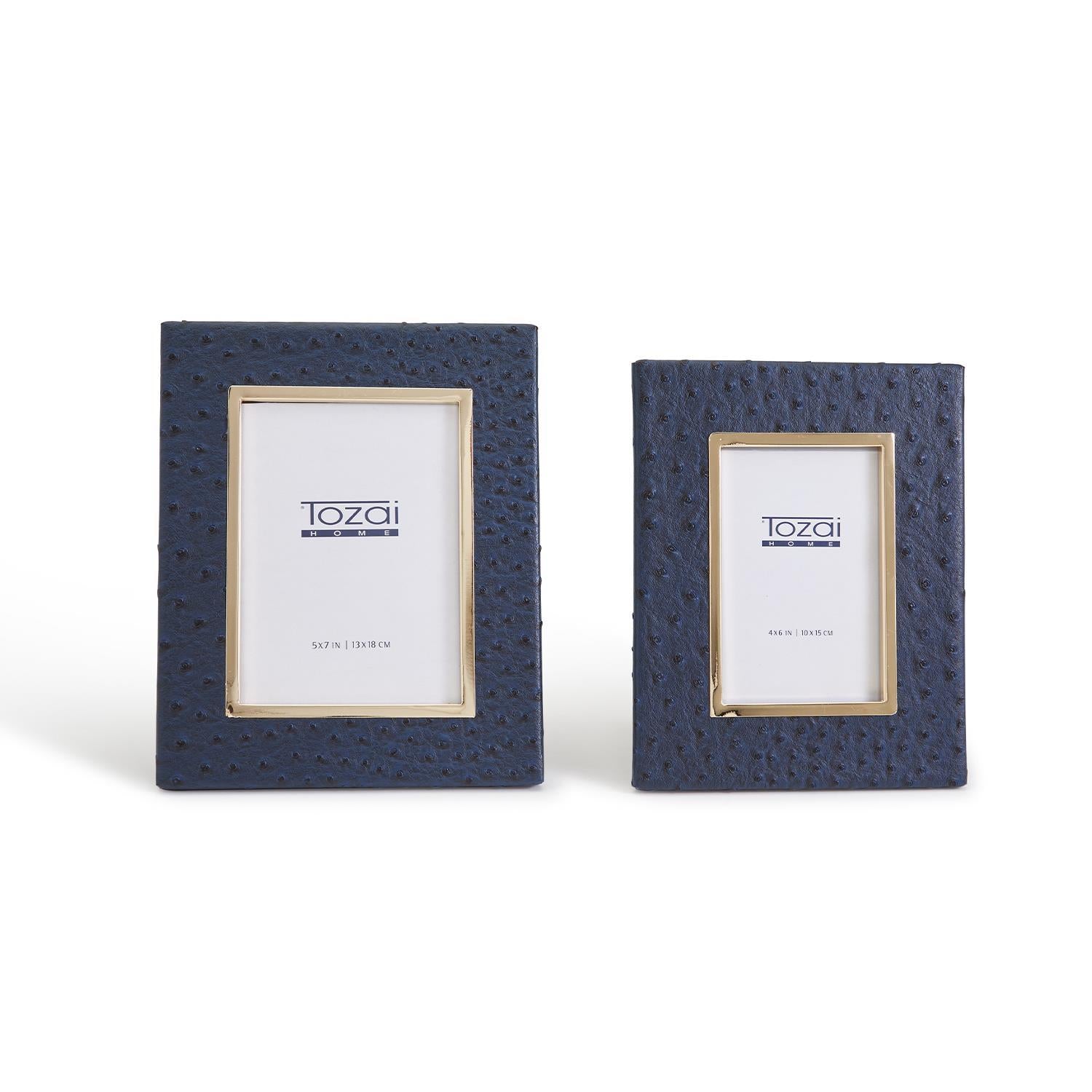 Navy Ostrich 5x7 Photo Frame