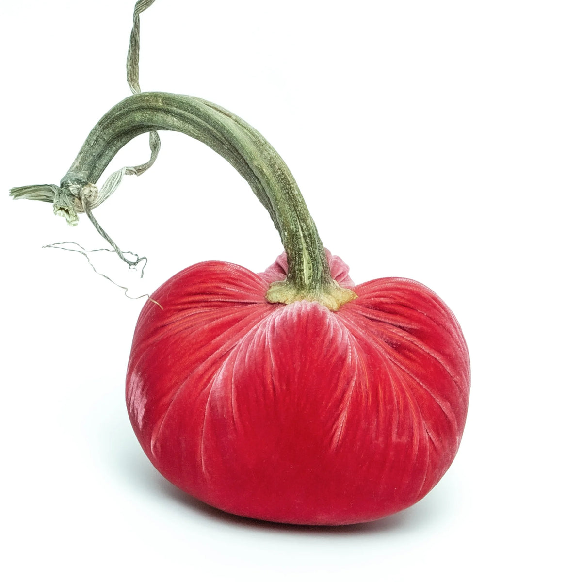 10" Velvet Pumpkin