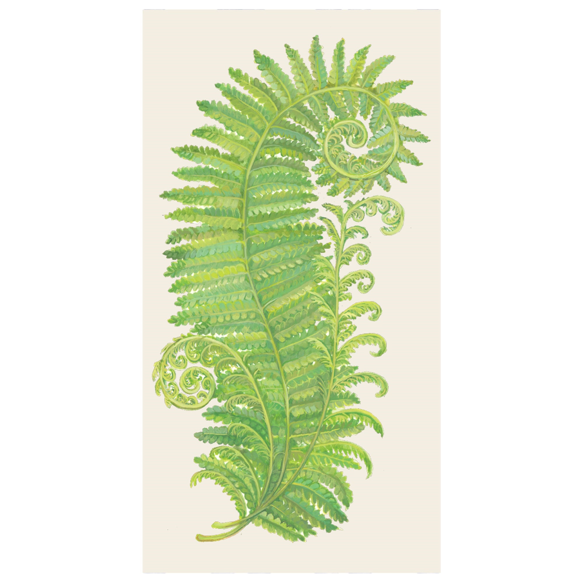 Fern Napkin