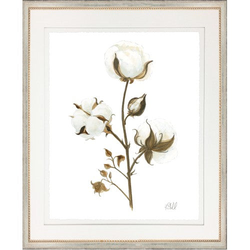 Framed artwork of a cotton plant with white flowers and brown leaves on a white background.