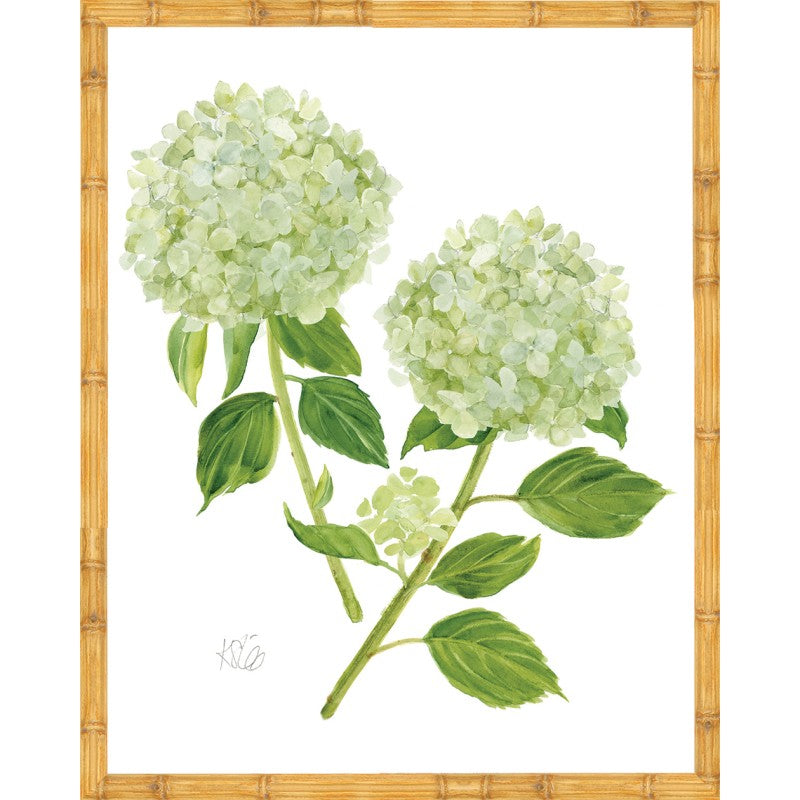 KS-Hydrangea Bloom 10