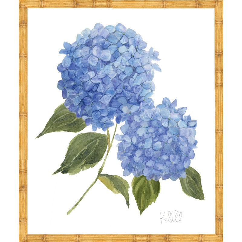 KS-Hydrangea Bloom 2
