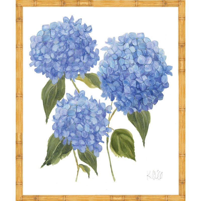 KS-Hydrangea Bloom 3