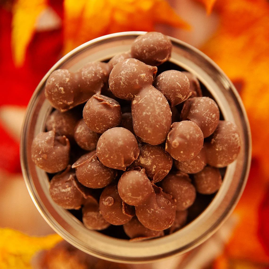 10oz. Double Dip Milk Chocolate Gourmet Peanuts