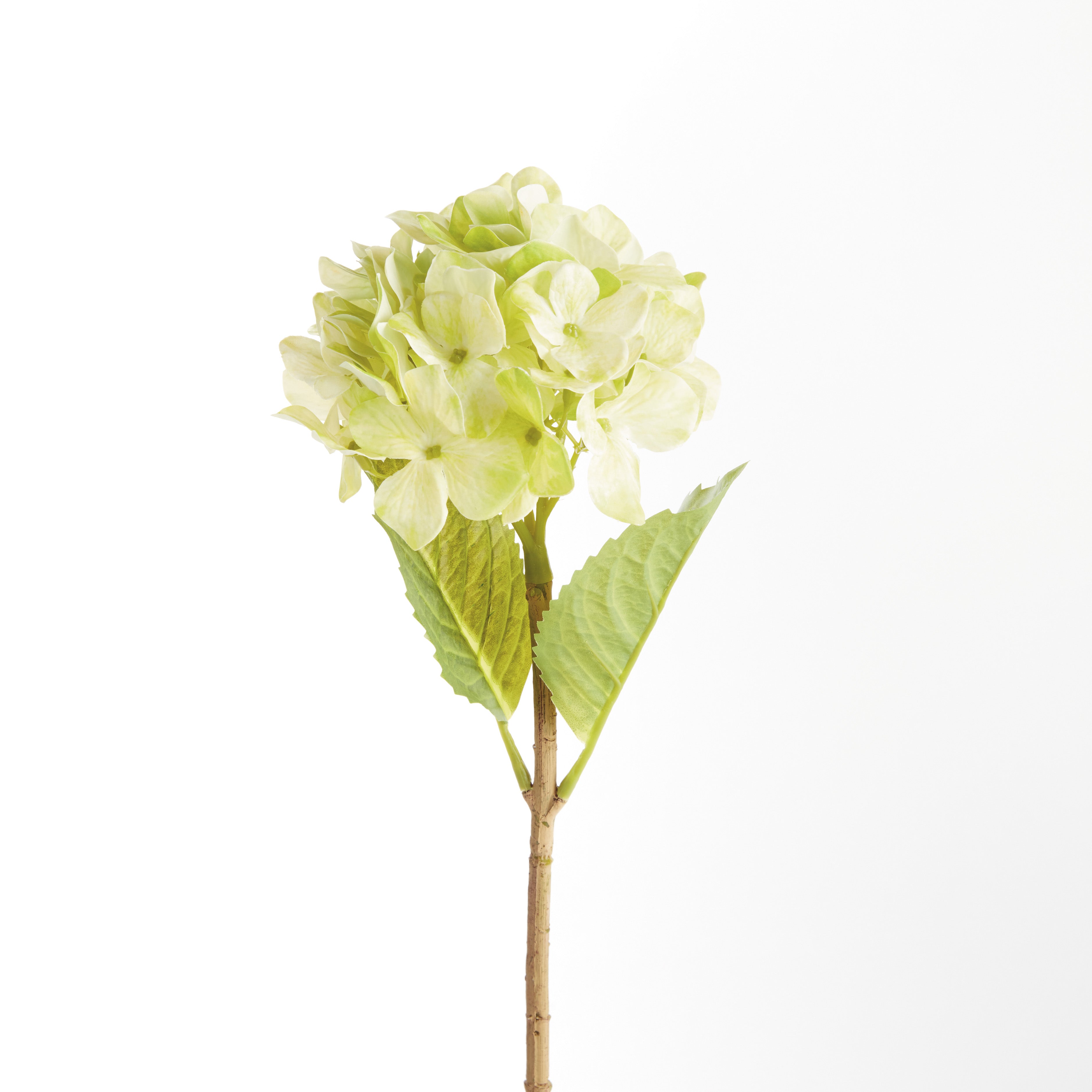 Hydrangea Stems 18"