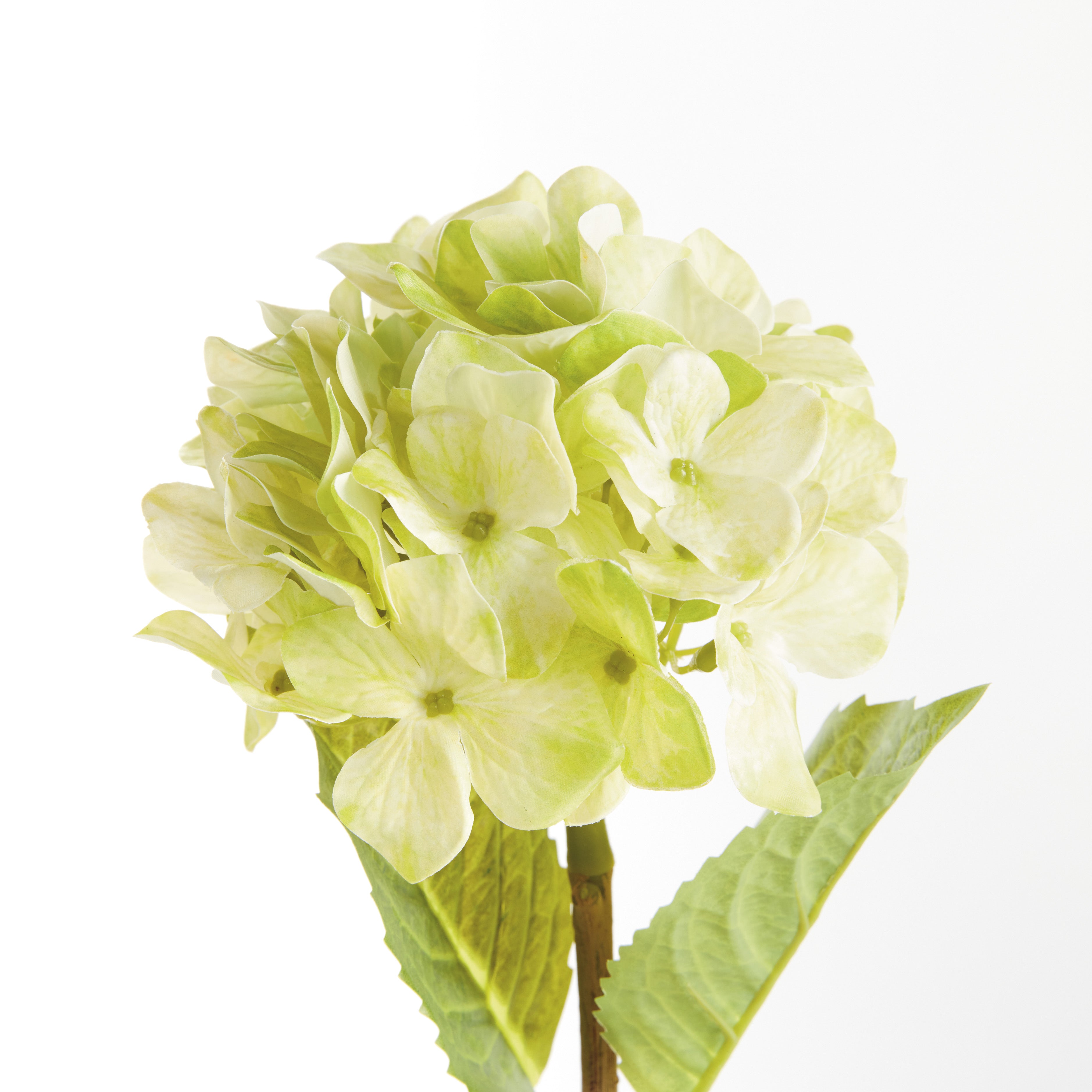 Hydrangea Stems 18"