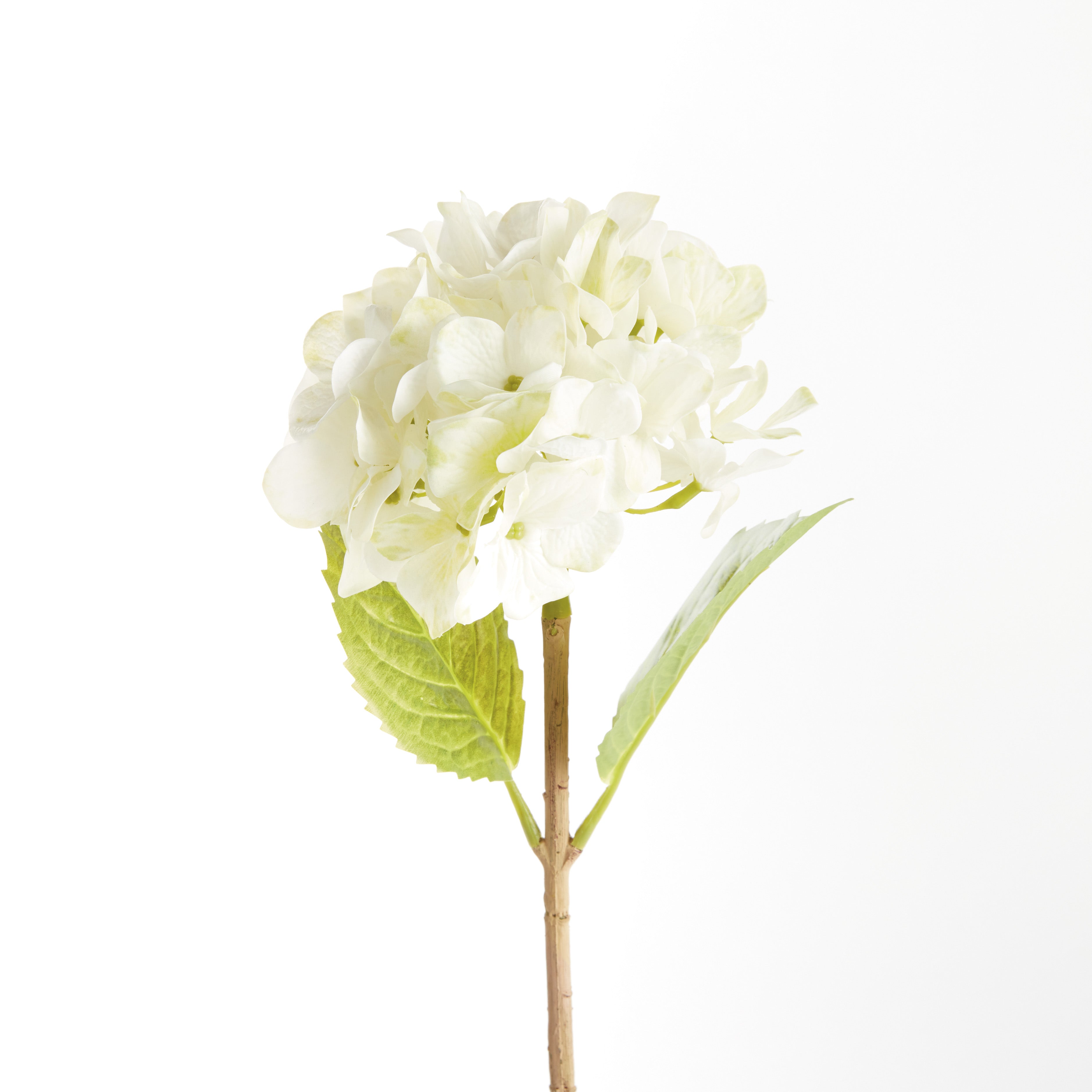 Hydrangea Stems 18"