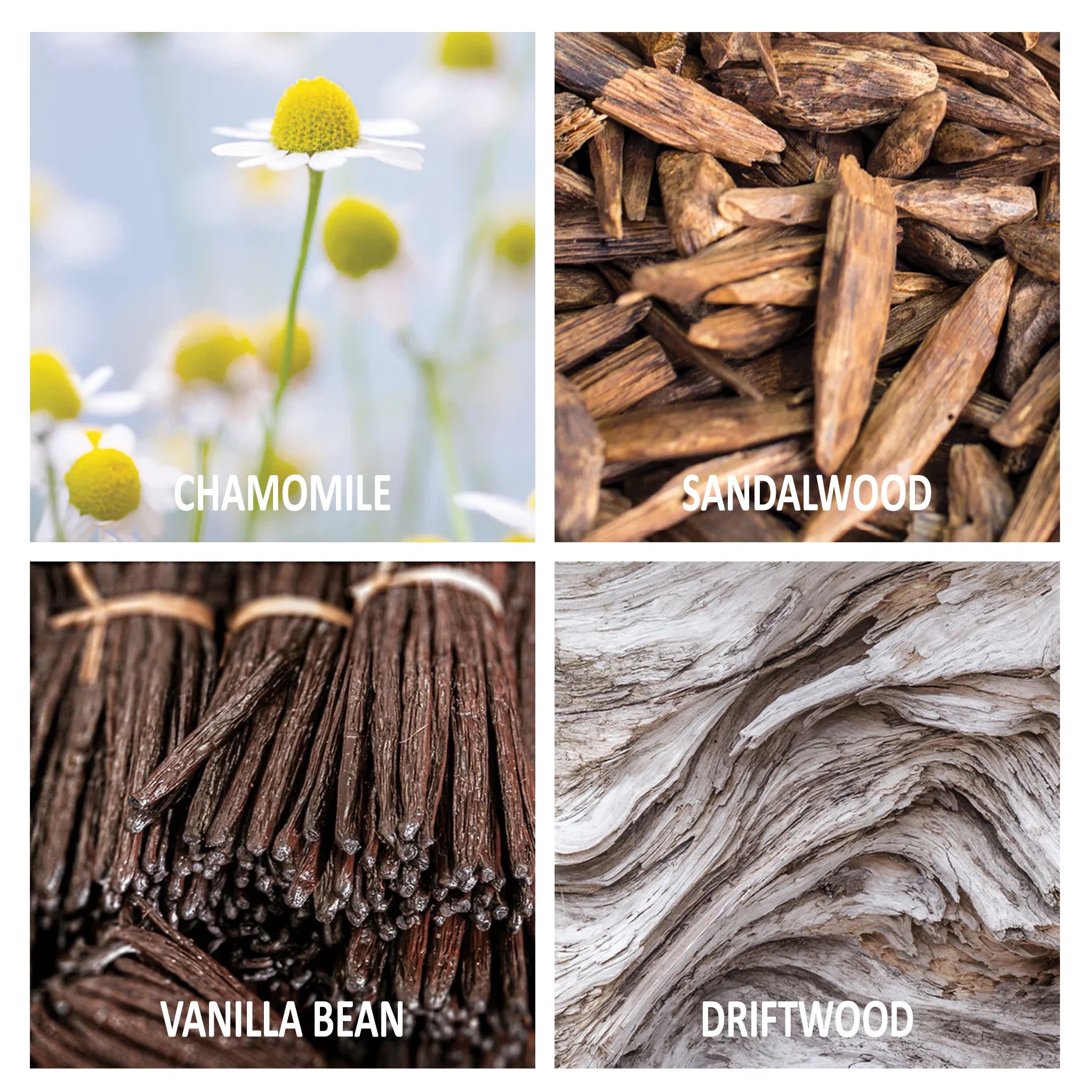 Driftwood & Chamomile Reed Diffuser