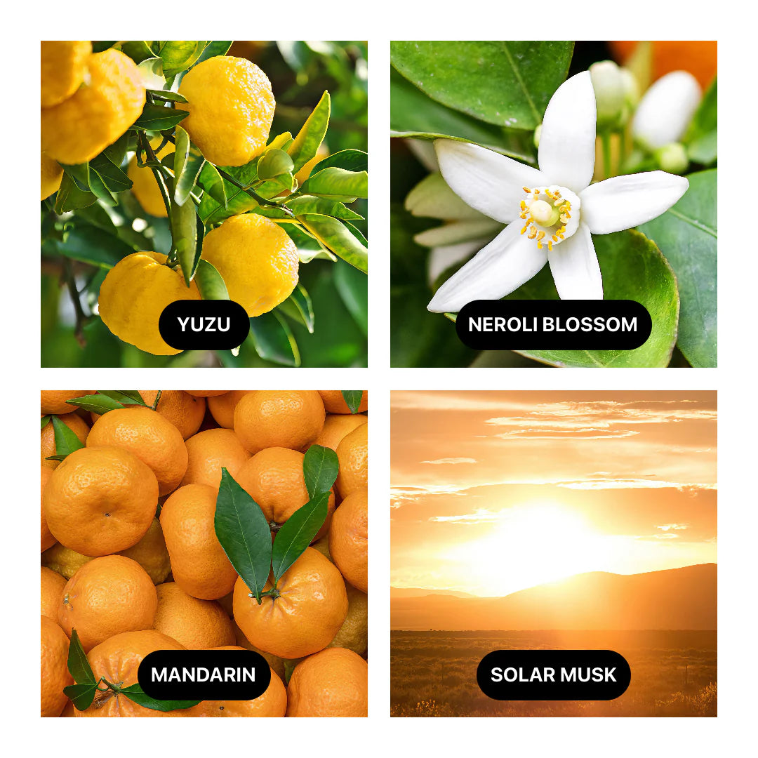 Sunlit Yuzu & Neroli Votive Candle