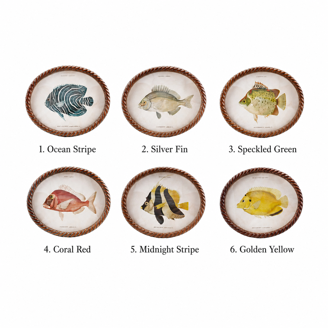 Set of six decorative plates with fish illustrations and names on a white background
