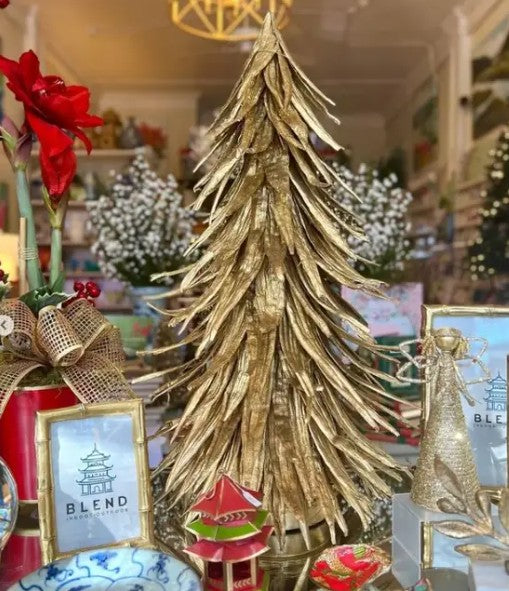 Long Pod Cone Tree