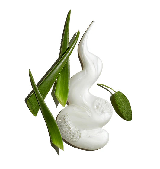 White cream with green leaves on a white background