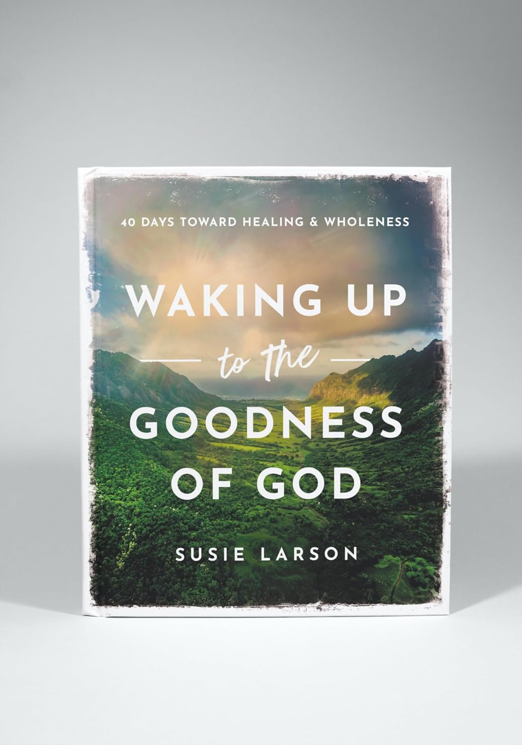 Book cover of 'Waking Up to the Goodness of God' by Susie Larson with a scenic design.