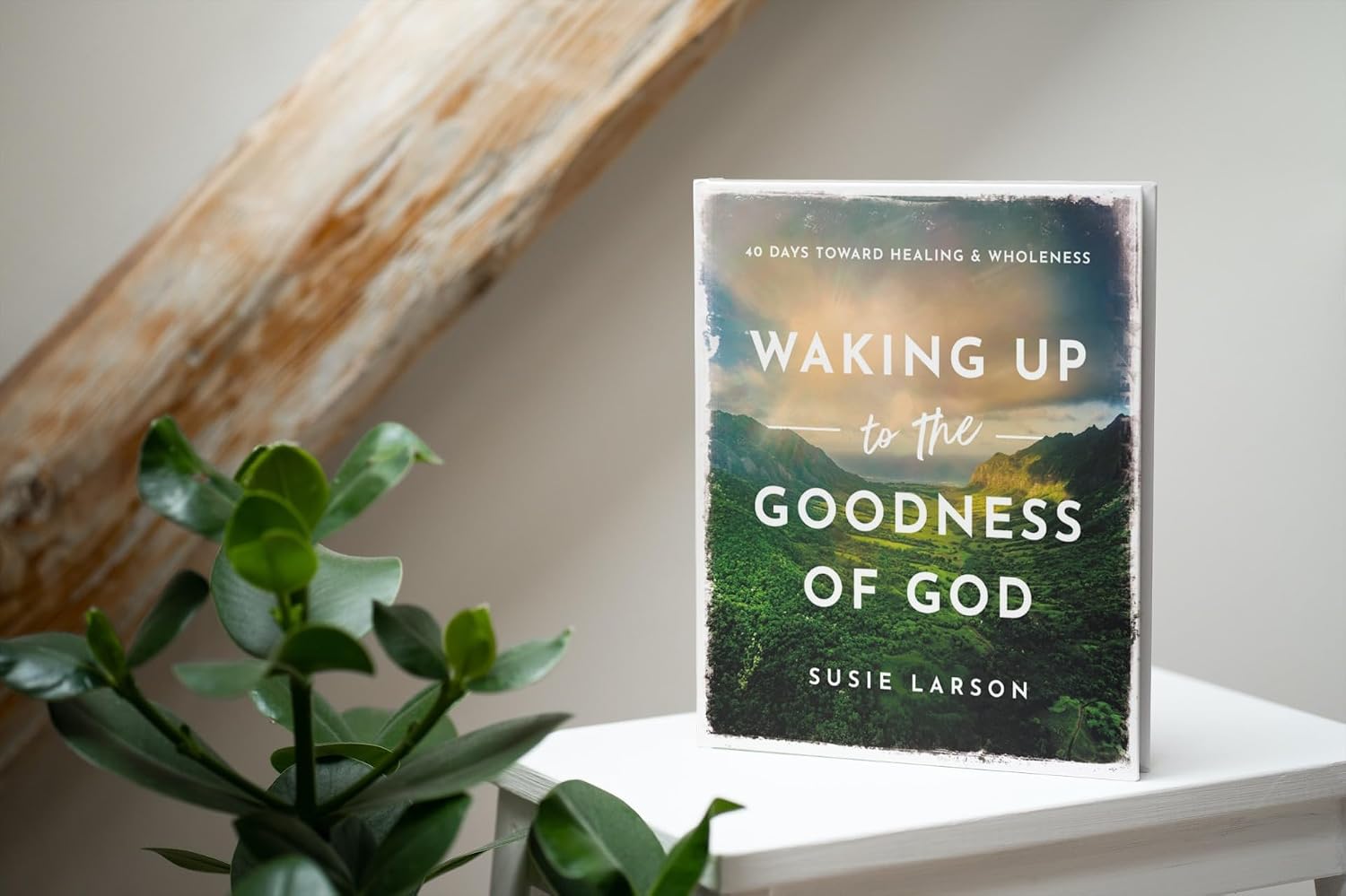 Book titled 'Waking Up to the Goodness of God' by Susie Larson on a white surface with a plant and wooden log in the background.