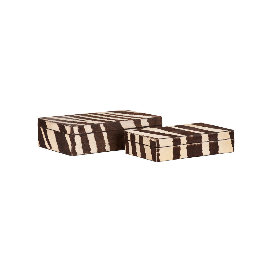 Two zebra-striped boxes on a white background