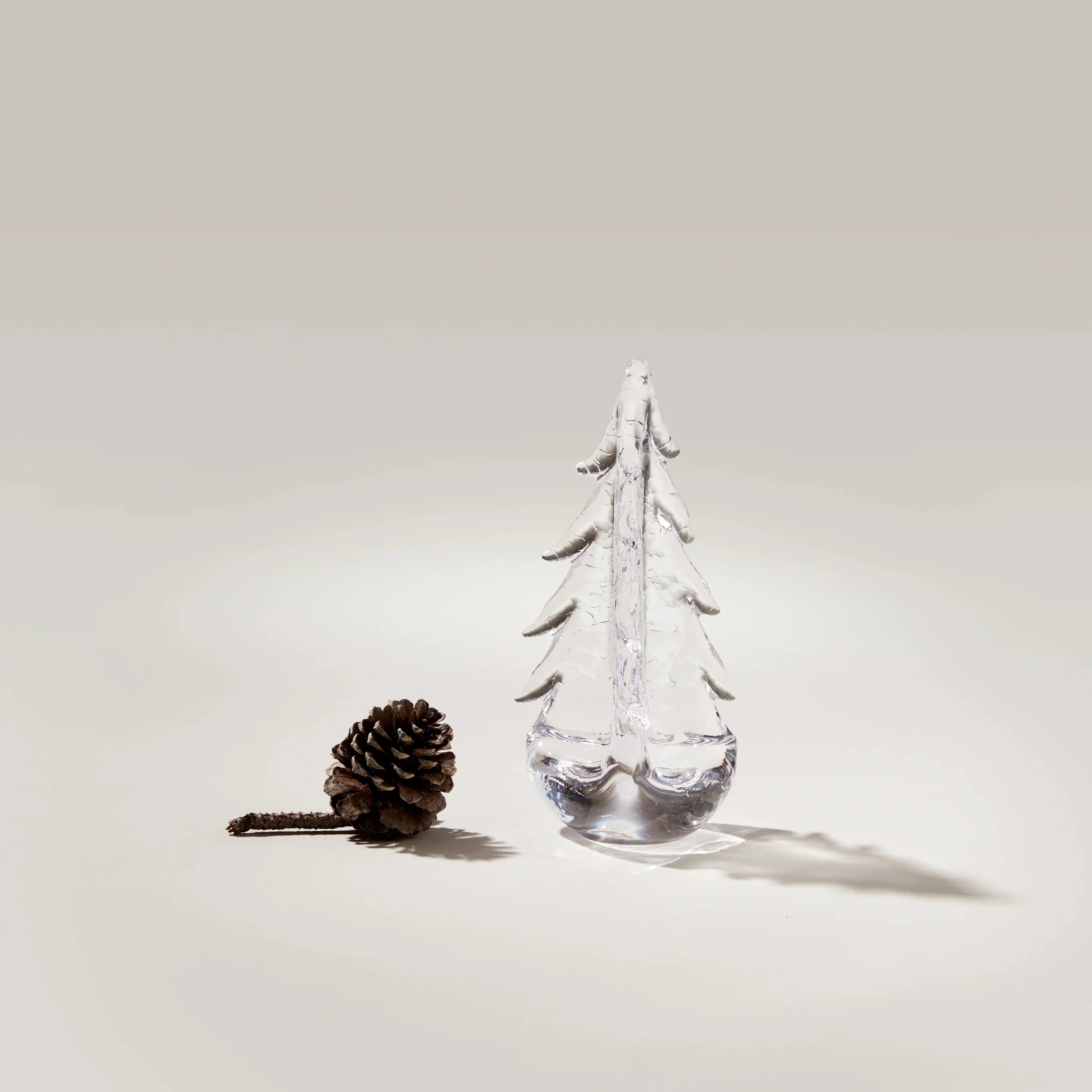 Crackle Evergreen in Giftbox- 8 Inch