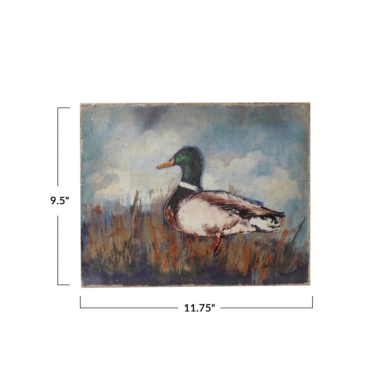 Duck Canvas Wall Décor