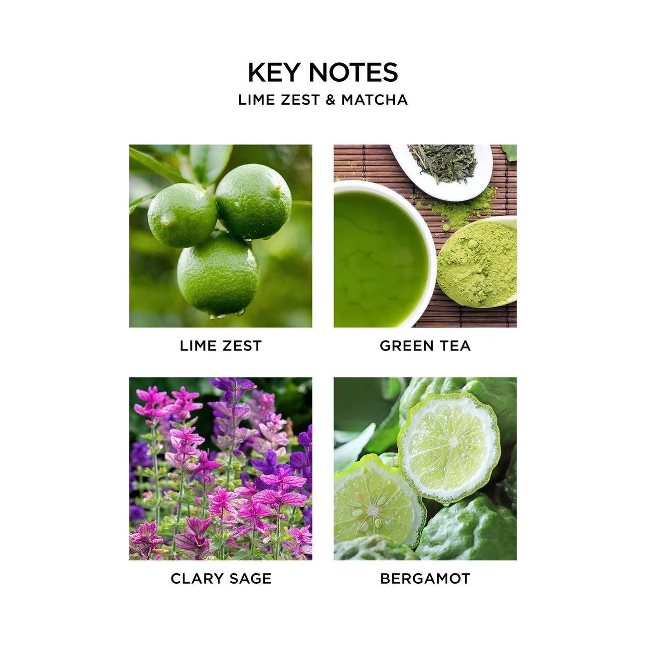 Lime Zest and Matcha Pura Refill Pods