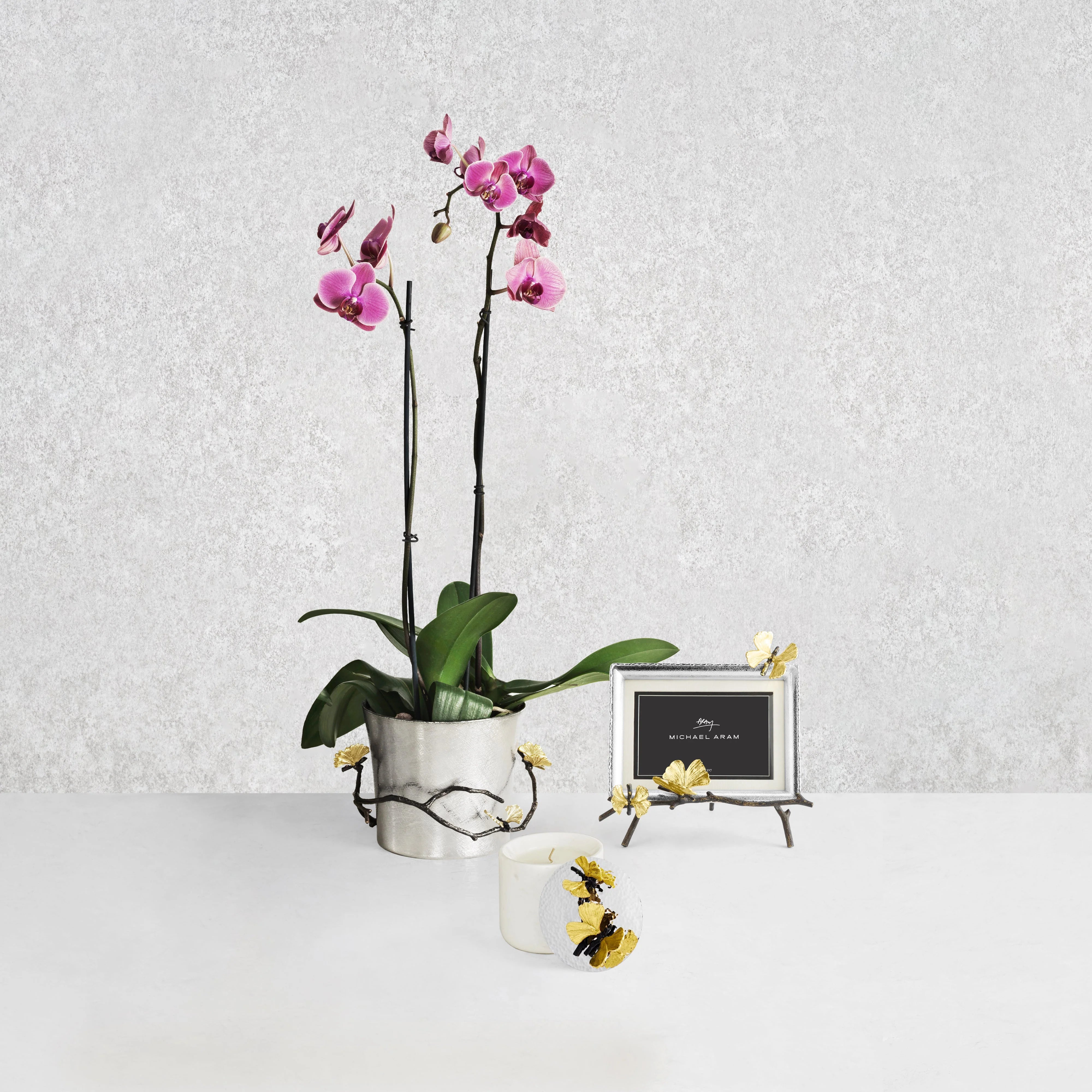 Butterfly Ginkgo Frame - Easel