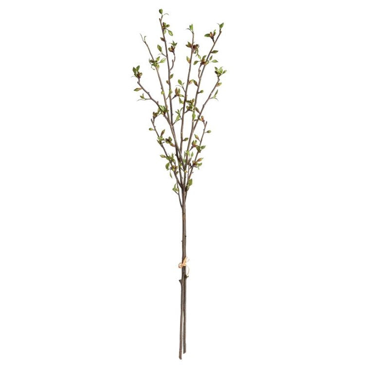 Budding Branches 42"