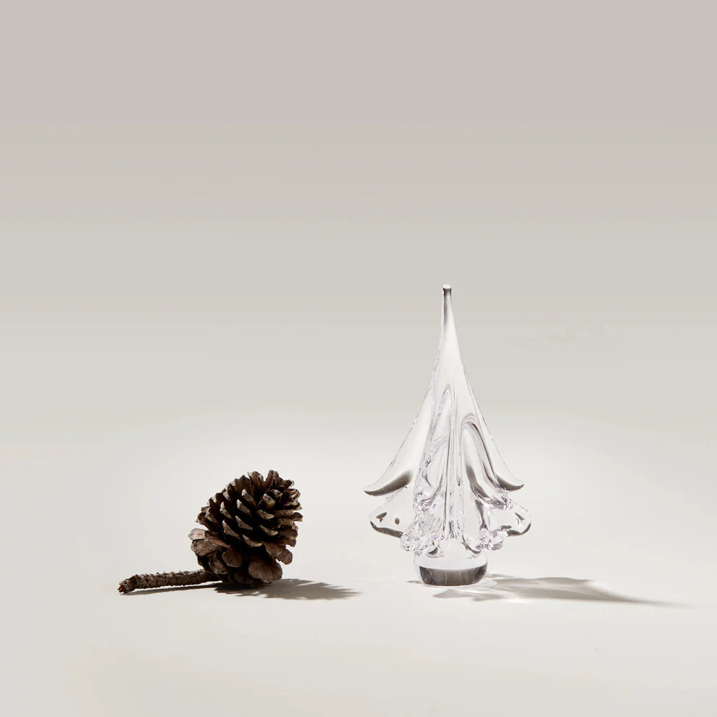 Spruce Evergreen- 6 in