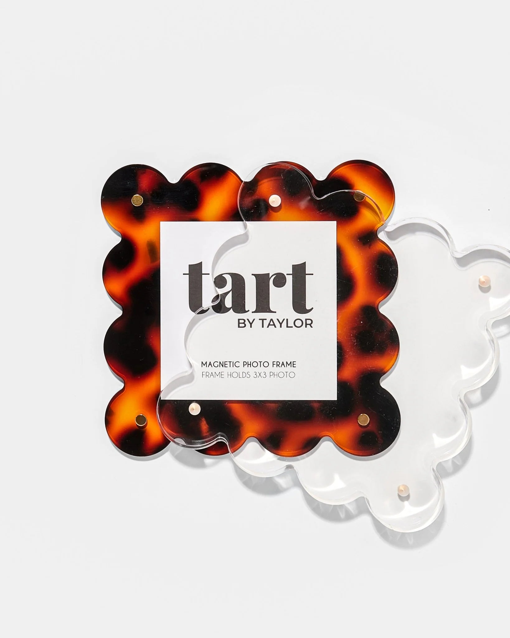 Tortoise Mini Acrylic Picture Frame