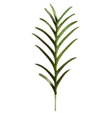 Vanda Orchid Leaf Plant 33"