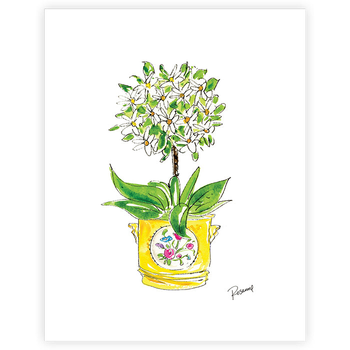 Handpainted White Daisies in Cashe Pot Art Print