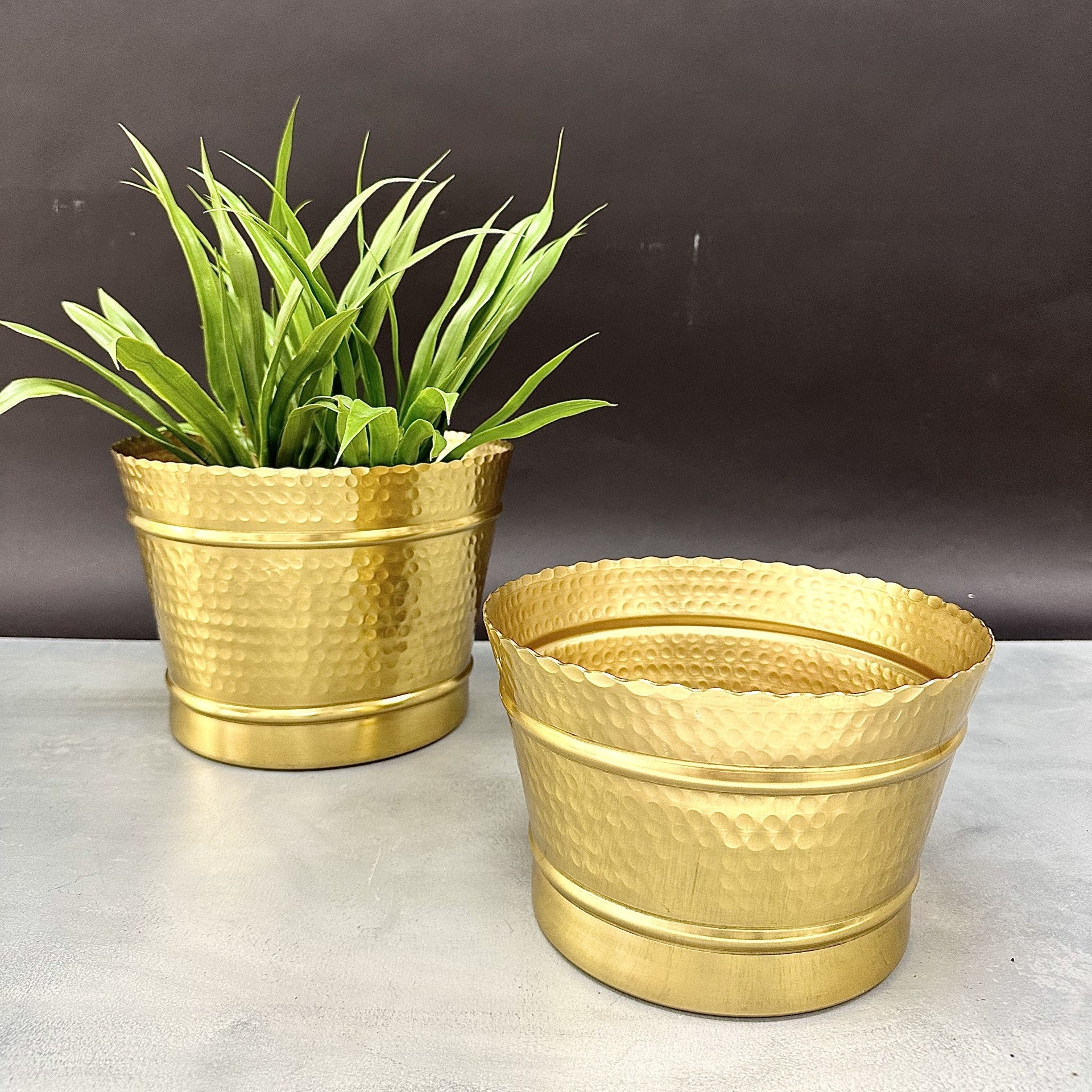 Gold Garden Planter